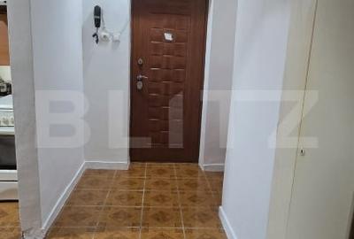 Apartament de vanzare, cu 2 camere, 46 mp, zona Careiului - 7