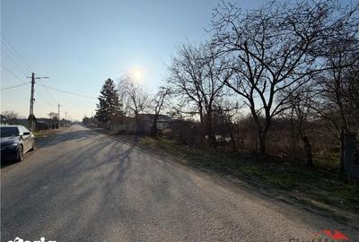 Teren de 6057 mp, în Vânători - 4