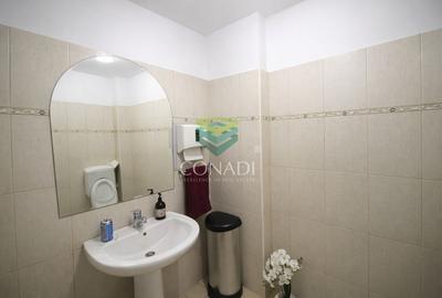 Apartament in vila zona Aviatorilor - 12