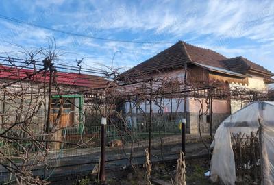 Casă în Roșia de Amaradia - 3