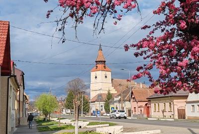 Gospodarie saseasca, cu 3200mp teren - 6