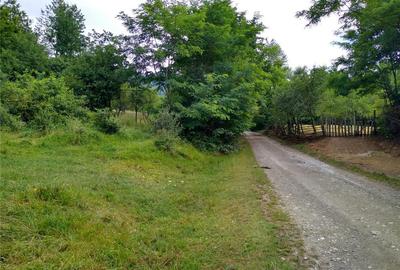 Teren de 4700 mp, în Romos - 7