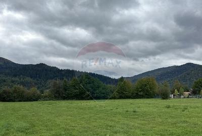 Teren 1,023mp Vadurele (Alexandru cel Bun) / Strada Steja... - 1