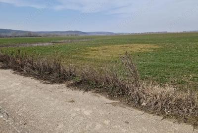 Teren de 3300 mp, în Șimnicu de Sus