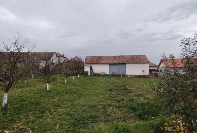 Casa locuibila, cu doua corpuri, utilita?i, 1200 mp teren - 5