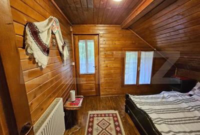 Casa de vacanta cu 4 camere,3300 mp teren,Valisoara - 5