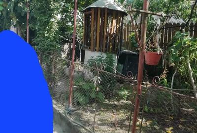 Casă cu 3 camere în Berechiu - 3