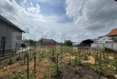 Casă cu 4 camere cu Teren 1842 Mp în Filiași - 14