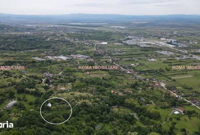 Casă cu 4 camere cu Teren 7400 Mp în Cicârlău - 3