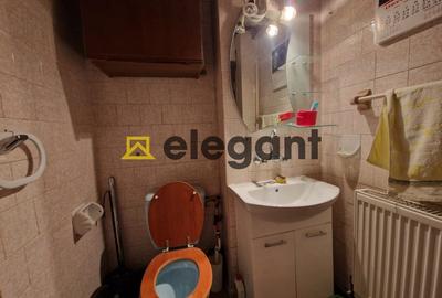 3 decomandate, 77 mp, AC, Centrala, mobilat, George Enescu - 10