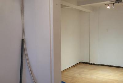 STIRBEI VODA- Conservator - 7