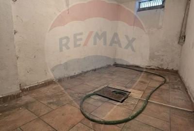 DE VANZARE Casa / Vila cu 11 camere de vanzare in zona Parcul Carol - 50