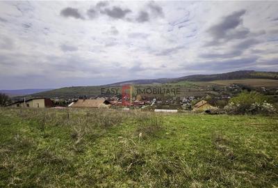 Teren Construcții intravilan de 6350 mp, în Bărdești