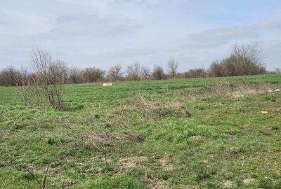 Teren agricol extravilan de 7000 mp, în Afumați - 2