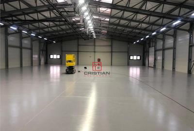 Depozit/hala/spatiu industrial Theodor Pallady - Drumul Int - 27