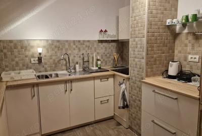 Apartament tip mansarda de inchiriat direct de la proprietar - 6
