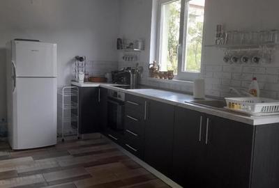 Casă individuală cu 3 camere cu Teren 165 Mp în Sasca Montană - 3