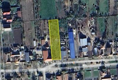 Remetea Mare, Teren Intravilan 1.500 Mp., - 1