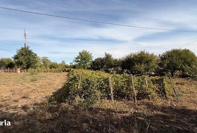 Casă cu 4 camere cu Teren 160 Mp în Perișoru - 8