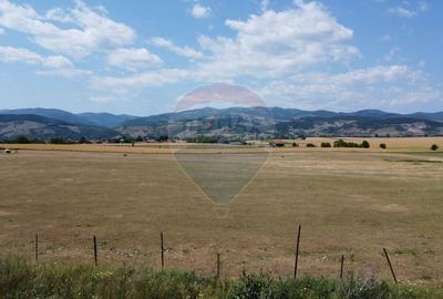 Teren Construcții intravilan de 10000 mp, în Vințu de Jos - 2