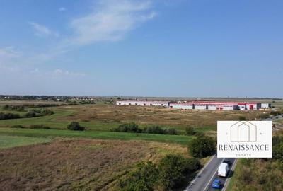 Teren PUZ Aprobat Pretabil Hale | 55.000mp - Park Industrial Sanandrei - 7