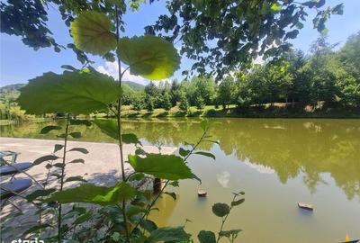Spațiu comercial, în Cheile Râșnoavei - 14