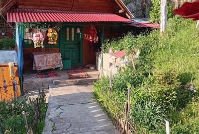 Casă cu 4 camere în Horea - 1