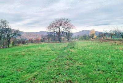 Teren de 7370 mp, în Mera - 1