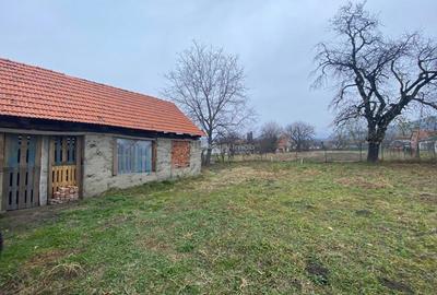 Sadova Veche, Casa la curte + Teren - 18