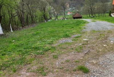 Spațiu comercial, în Bulz