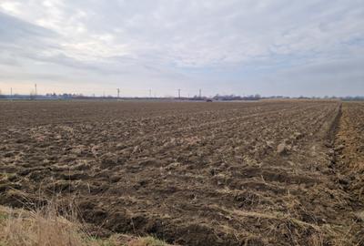 Teren de 5900 mp, în Hideaga