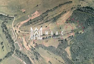 Teren agricol extravilan de 80000 mp, în Gușterița - 3