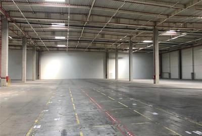 Inchiriere depozit/hala/spatiu industrial Popesti Leordeni-DN4-A0 - 5