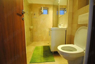 Apartament de inchiriat cu 3 camere Timocului-Saguna decomandat complet utilat - 2