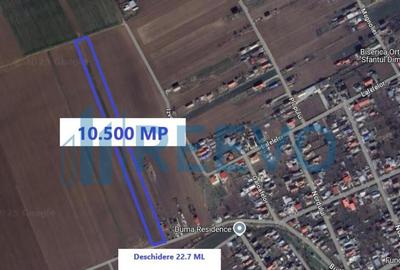 Teren de vanzare, Com. Nicolae Balcescu, Jud. Bacau - 28