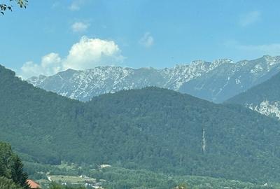 Zarnesti - Tohanita - 4