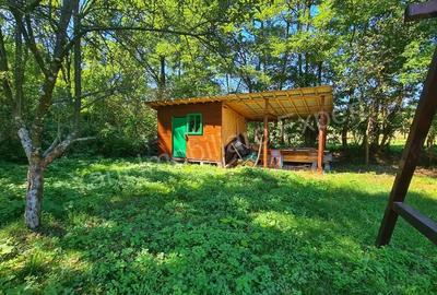 Casă cu 2 camere cu Teren 2160 Mp în Brătești - 2