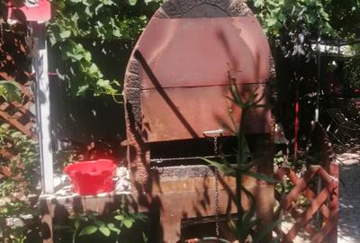 Vand sau schimb CASA Radu Negru Braila - 1