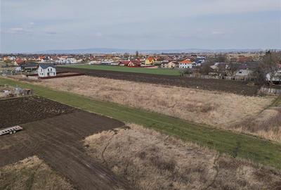 Teren Construcții intravilan de 4530 mp, în Stupini - 11