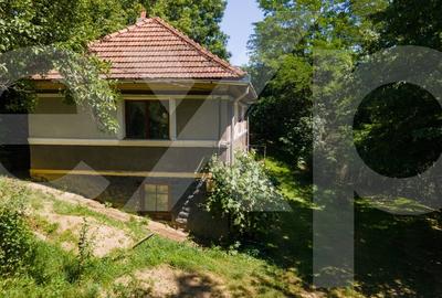 Proprietate cu potential turistic, in zona Negreni â Bucea, jud. Cluj - 15