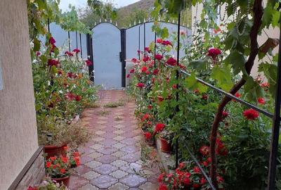 Casă cu 3 camere cu Teren 590 Mp în Slava Rusă - 4