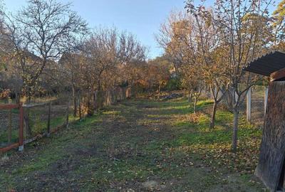 Casă cu 3 camere în Central - 4