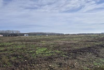 Loturi de teren 638 mp - curent tras la teren - Crevedia - 7