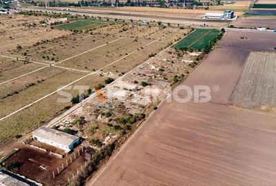 Teren de 13750 mp, în Sud - 7