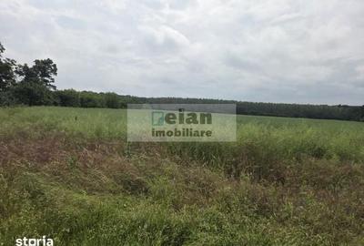 Teren de 700 mp, în Ciolpani - 1