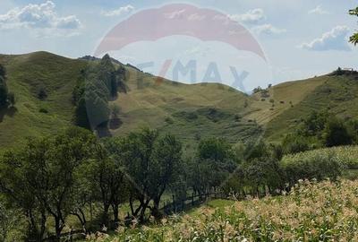 DE VANZARE Pensiune | 12 camere | Bisoca / Buzau - 11