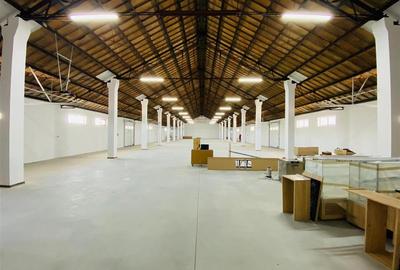 Spațiu industrial, de 1,200 mp, în Central - 20