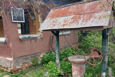 Casă în Coțofenii din Dos - 3