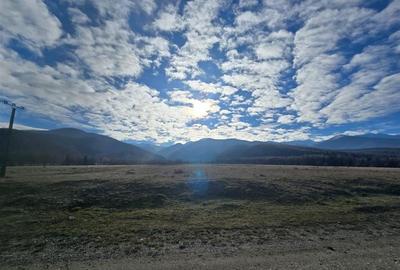 Teren de vanzare in satul de vacanta Dejani - 9