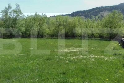 Spațiu comercial, în Vama - 3